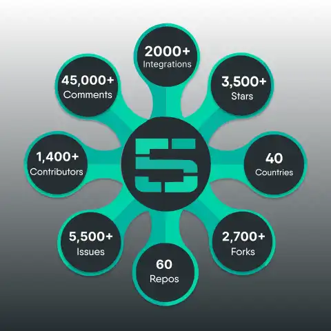 On the Importance of GitHub Stars